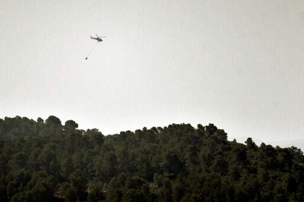 Sigue descontrolado el incendio de Tarragona ...