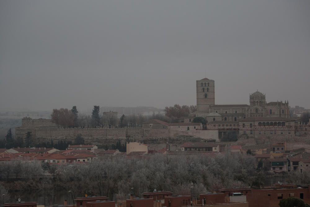 Zamora, cubierta de blanco por la cencellada