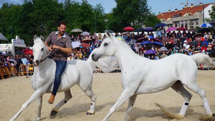 Espectáculos y concursos equinos protagonizaron el fin de semana en Lalín