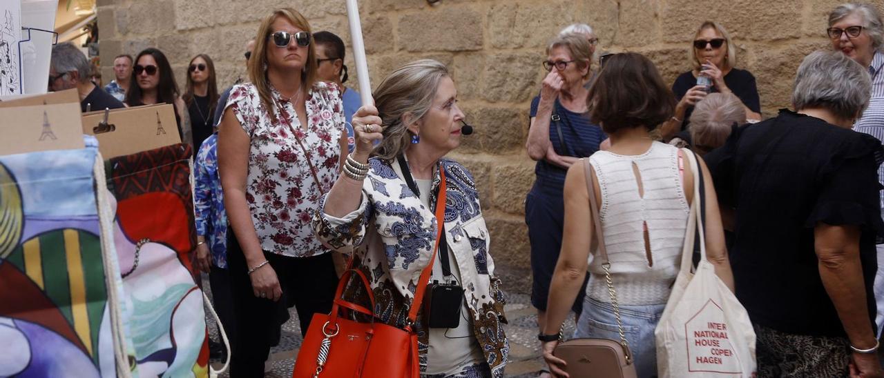 La capital malagueña y otros enclaves del litoral ejercen de locomotora de una provincia que cada vez atrae en invierno a más y más visitantes internacionales.