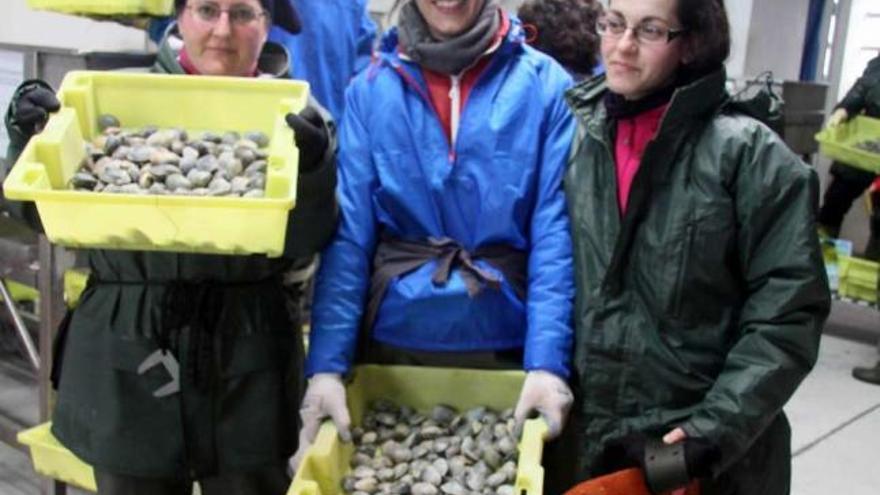 Tres de las jóvenes mariscadoras muestran el producto obtenido ayer en O Sarrido.  // J.L.Oubiña