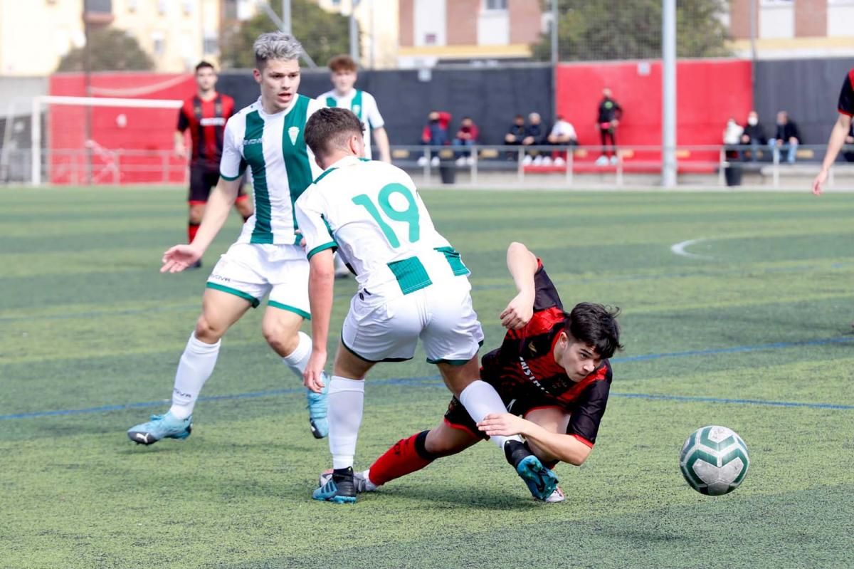 Séneca-Córdoba. Derbi de la División de Honor Juvenil.