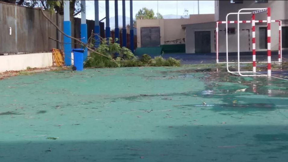 El viento provoca la caída de una decena de árboles en Riba-roja de Túria