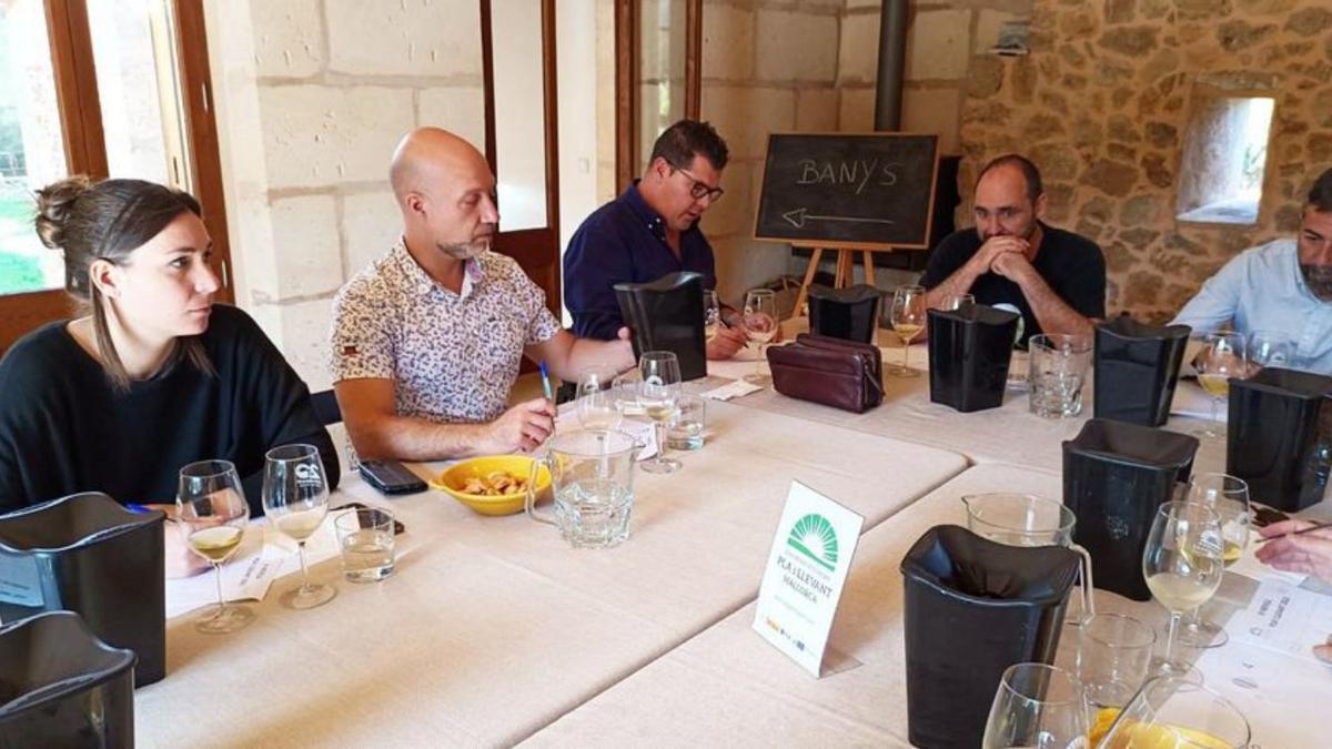 La cata del vino joven celebrada en Can Majoral. | B. FONT