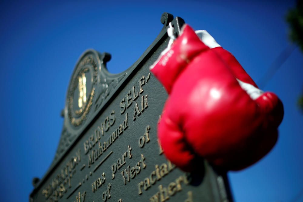 La comitiva fúnebre ha recorrido Louisville, la ciudad natal del boxeador, hasta llegar al cementerio Cave Hill, donde descansan sus restos.