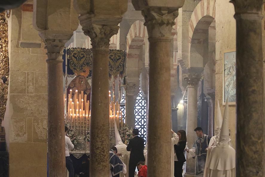 Fotogalería / La borriquita estrena la 'nueva' Semana Santa de Córdoba