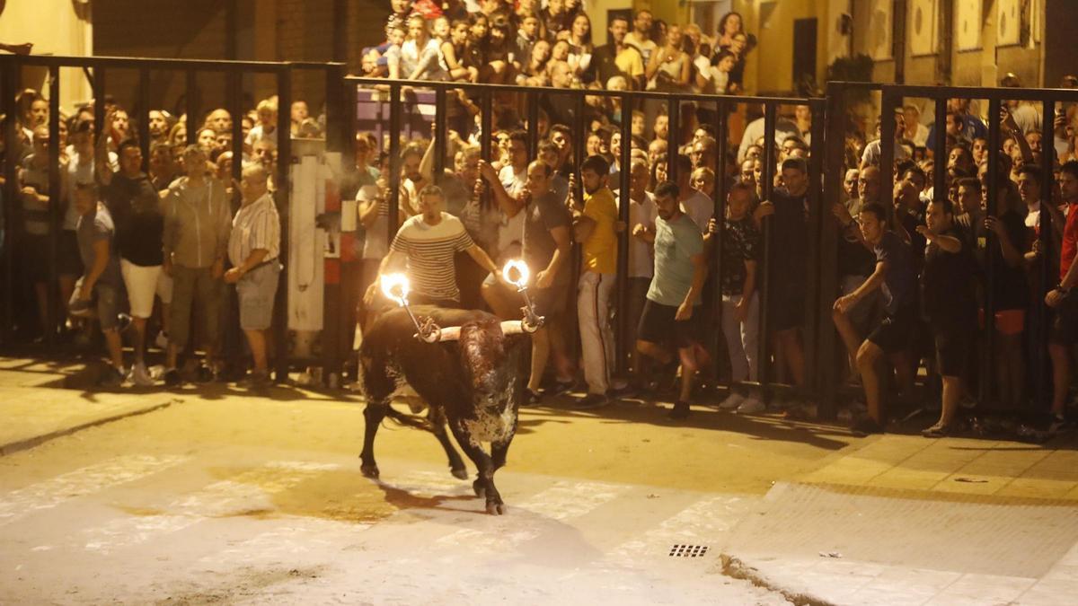 Foto de las fiestas de &quot;bou embolat&quot; celebradas en Castelló.