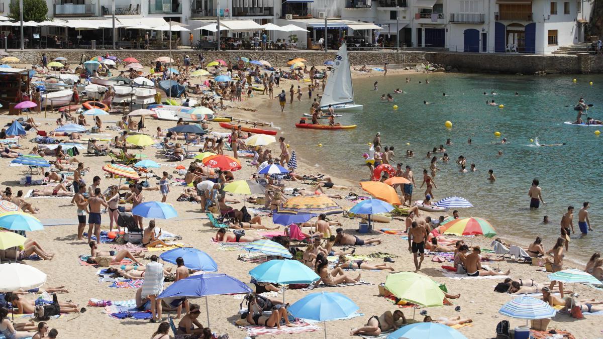 Gent a la platja de Tamariu, l&#039;estiu passat