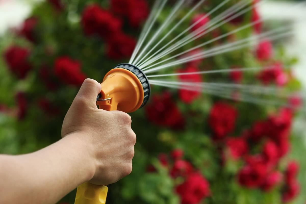 Recomendaciones de ahorro de agua en el jardín o terraza al regar las plantas.