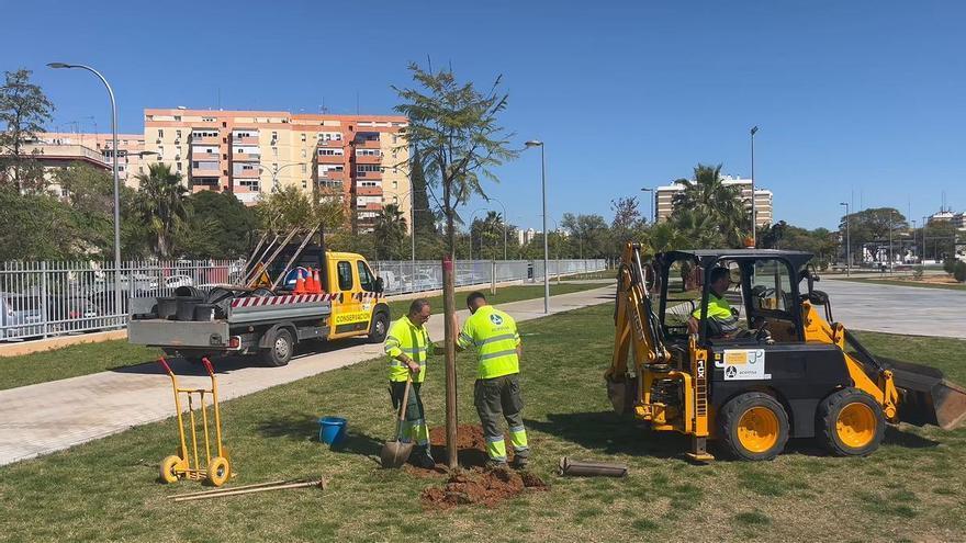 Más sombra para el parque Cruz del Campo: el Ayuntamiento planta 113 árboles en el nuevo pulmón verde de Sevilla