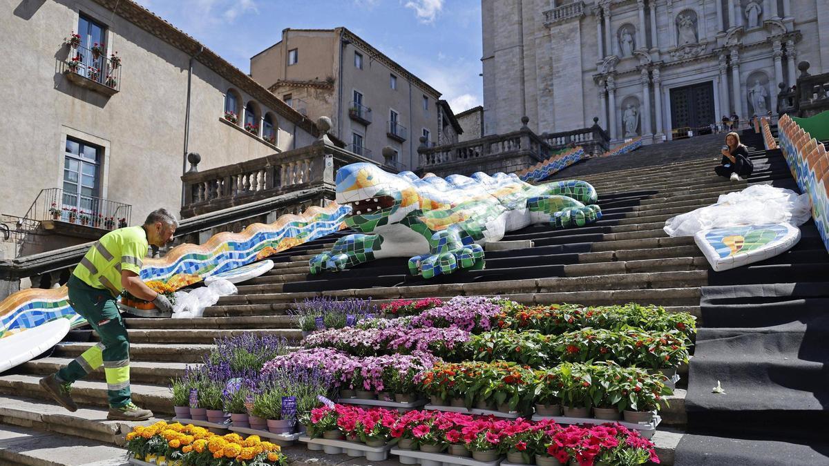 Les imatges dels preparatius de Temps de Flors