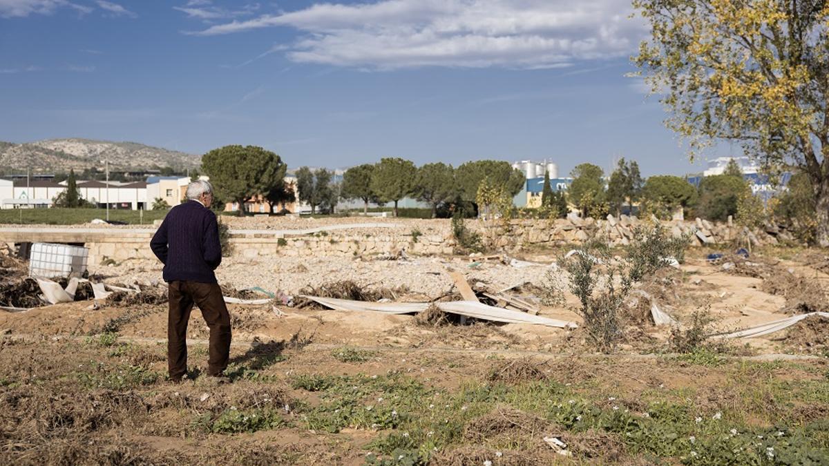 Un agricultor contempla un campo afectado por la dana, en una imagen reciente.