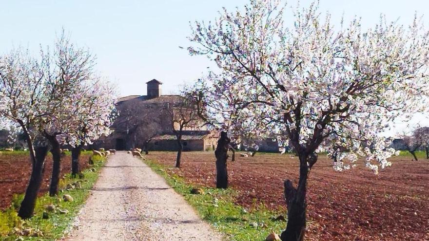 Los vecinos buscan con sus alegaciones proteger el paisaje de la zona.