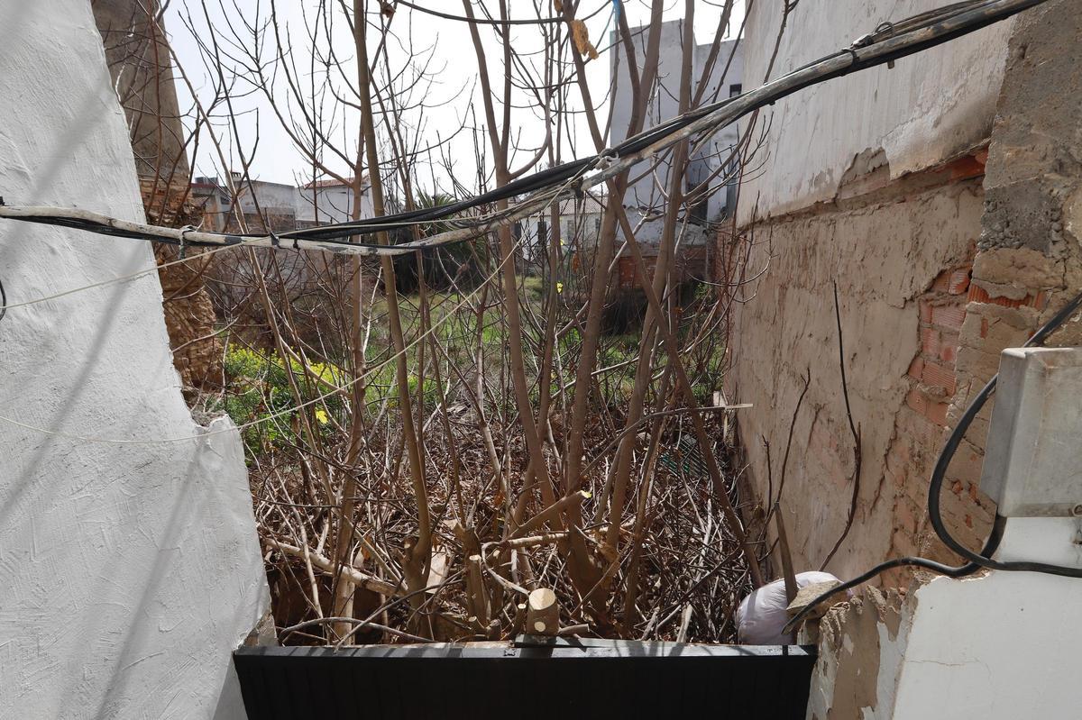 Solar que se subasta en el barrio de San Lorenzo, con accesos por las calles Polichinela y Abejar.