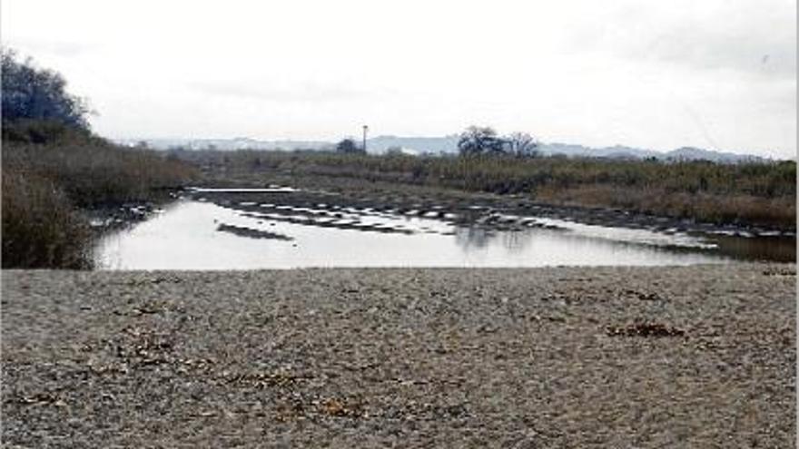 La desembocadura de la Tordera és una zona protegida, en una imatge d&#039;arxiu.