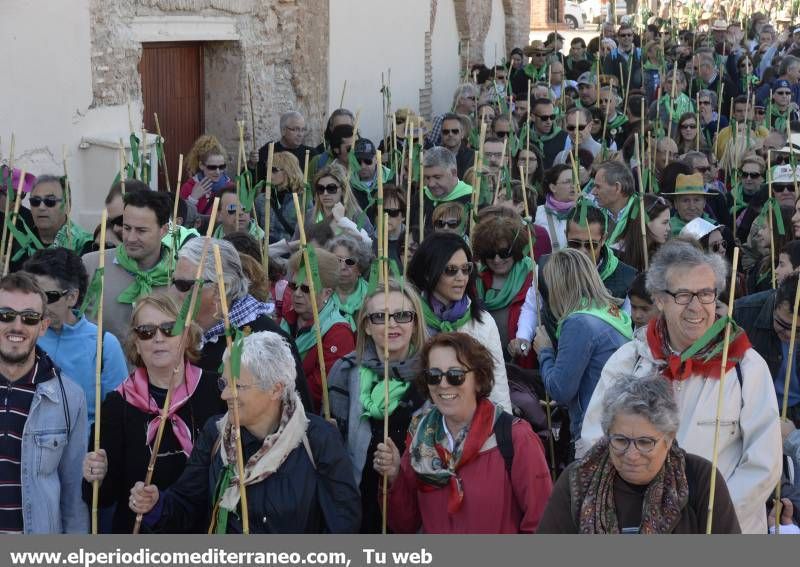 GALERÍA DE FOTOS - Romería Magdalena 2014 (5)