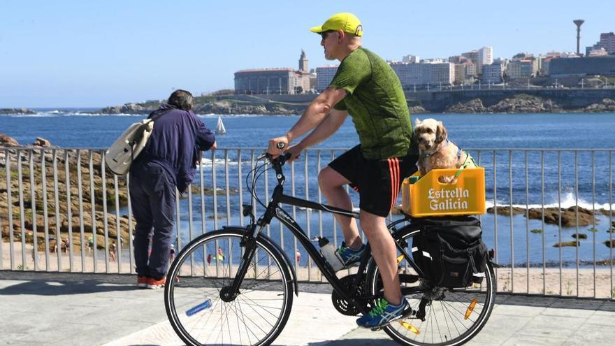 Un ciclista en el paseo marítimo de A Coruña.