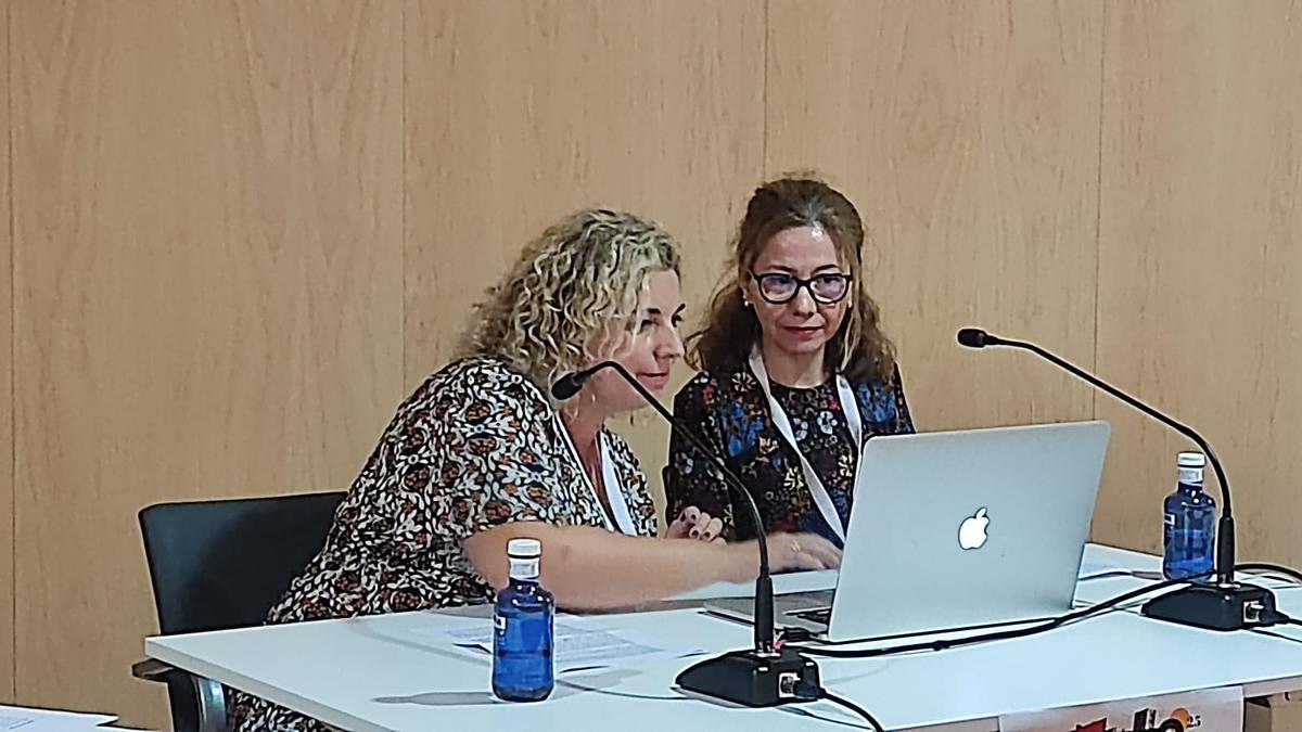 Raquel Ibáñez y Rosa Villalón, ponentes del Congreso de Historia de Zamora