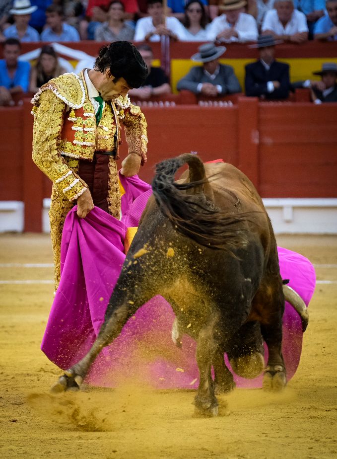 La tauromaquia de José Tomás en Alicante, en imágenes