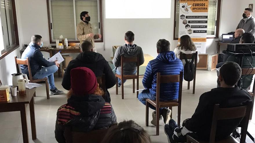 Un curso en O Rosal inicia a más de veinte personas en apicultura