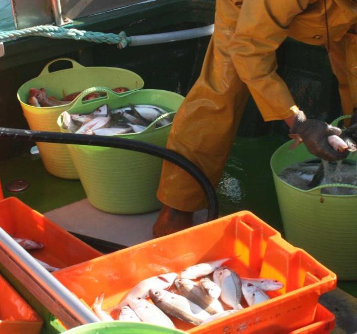 Candás, borrón y pesca nueva