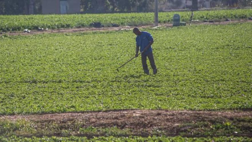 Las lluvias dejan 40 litros pero la provincia no alcanza ni la mitad de su media anual