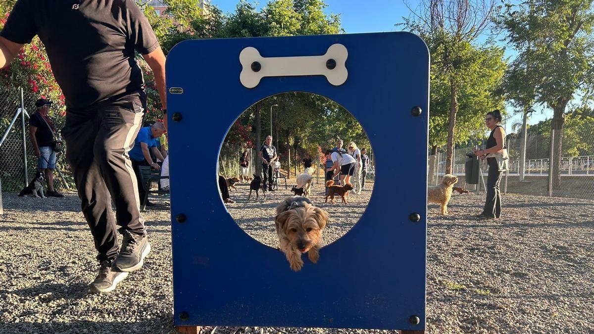 Torremolinos abre un nuevo parque canino en la avenida de la Libertad.