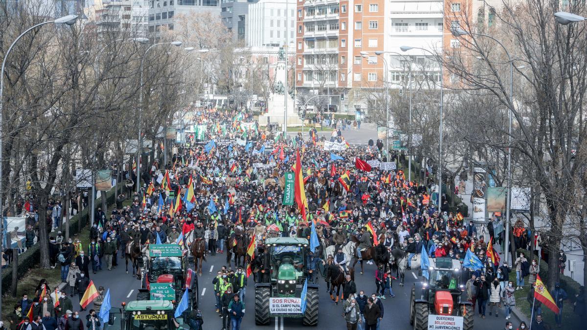Una imagen de la protesta en Madrid de agricultores y ganaderos.
