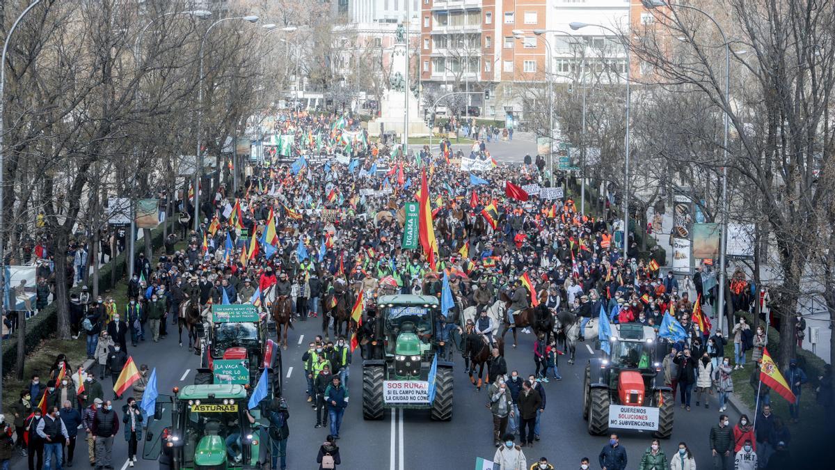 Una imagen de la protesta en Madrid de agricultores y ganaderos.