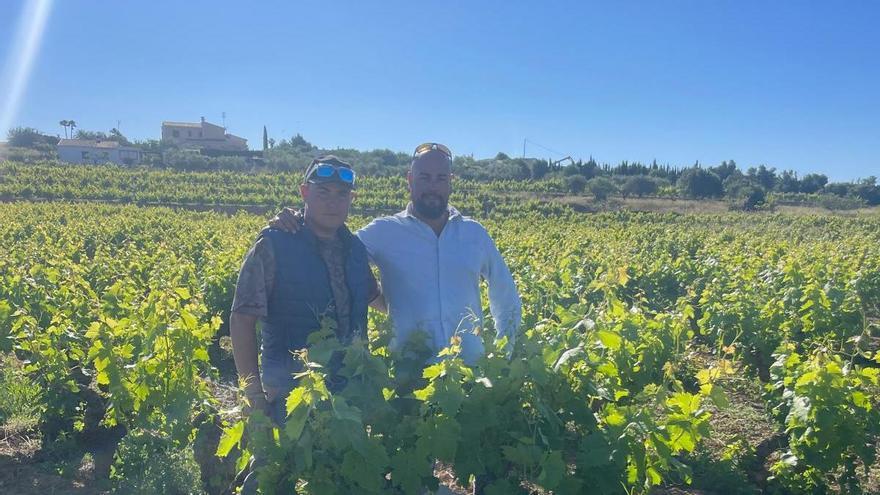 Uvas Cabrera, cinco generaciones con el Moscatel desde la Marina Alta