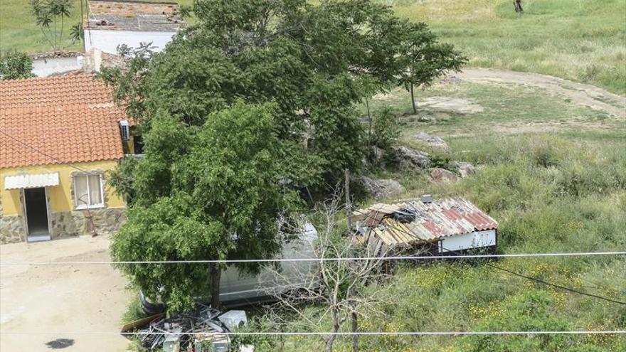 «Nos entran ratas como manos»