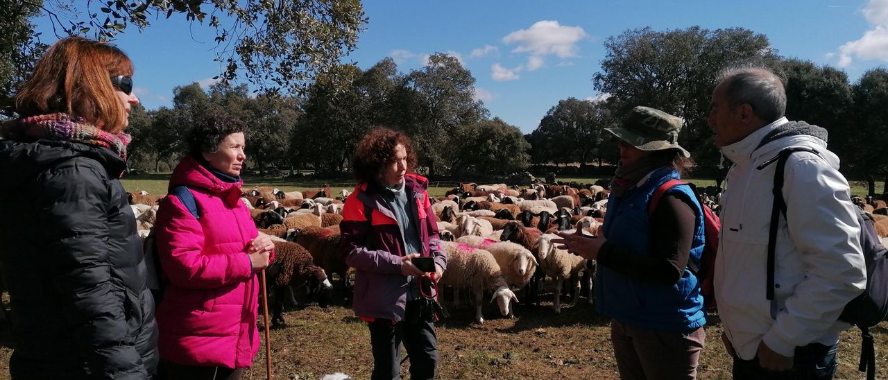 Almudena Rodríguez, segunda por la derecha, enseña su trabajo a un grupo de Madrid y Zamora