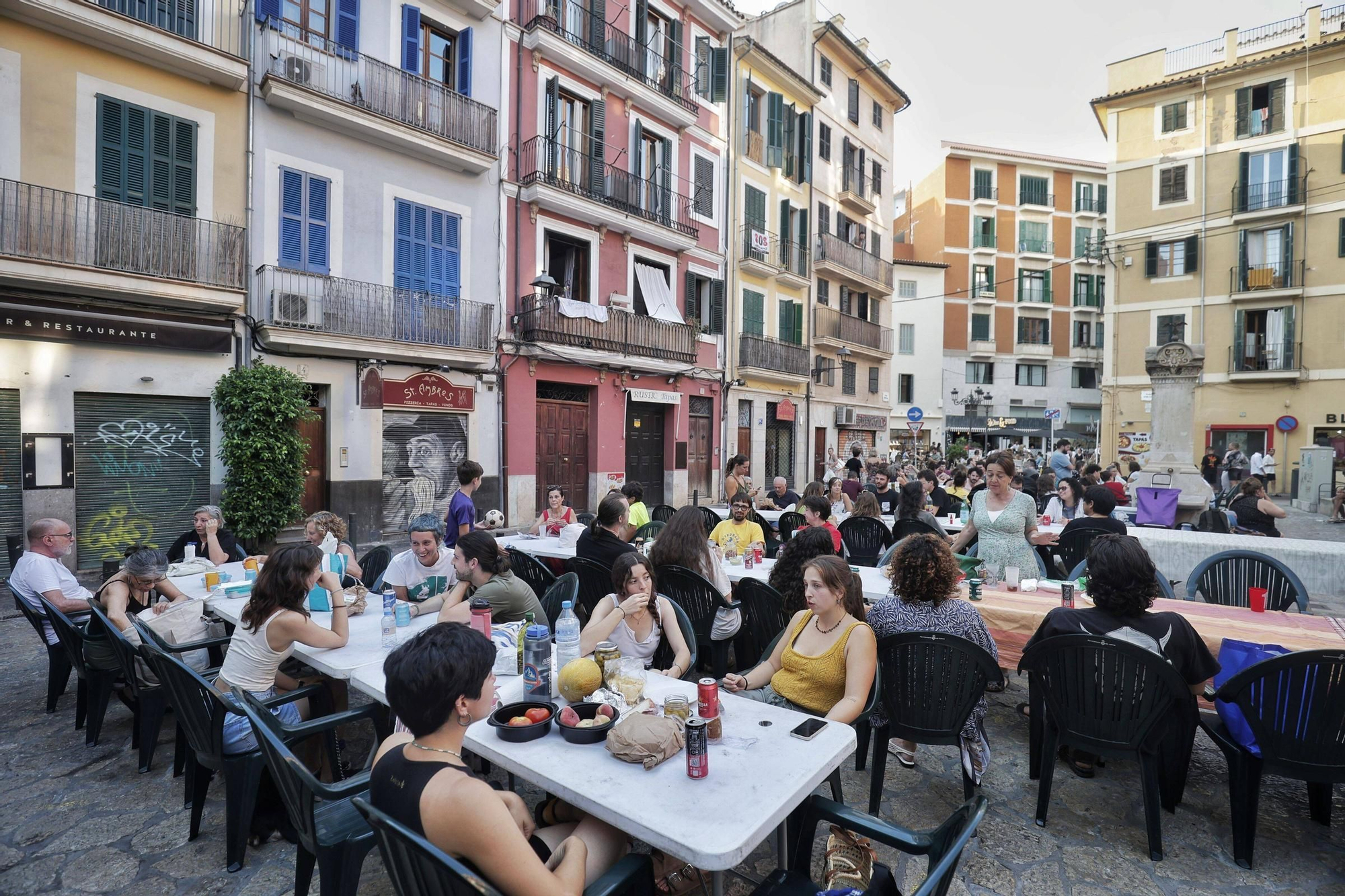 Truc en las plaza d'en Coll de Palma