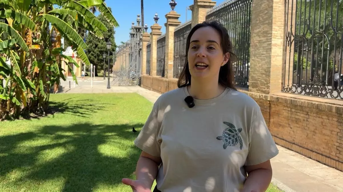 ¿Sabes que es la nieve marina?: la NASA financia un estudio de la Universidad de Sevilla que cuestiona cómo se mide el carbono del océano
