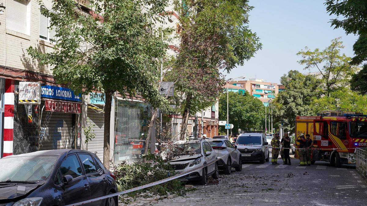Ramas caídas sobre vehículos en Granada, tras el terremoto de este martes.