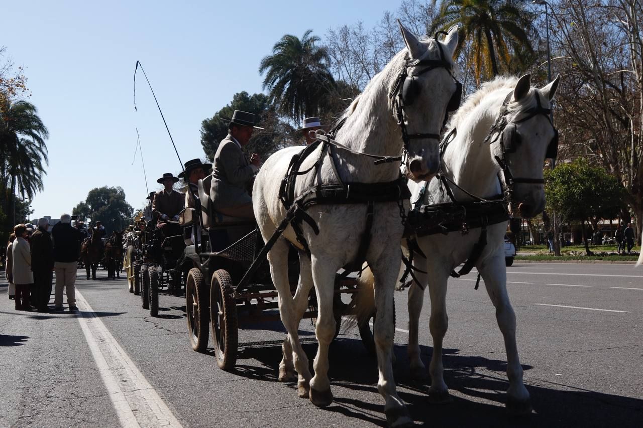 La Marcha Hípica de Córdoba por el 28F, en imágenes