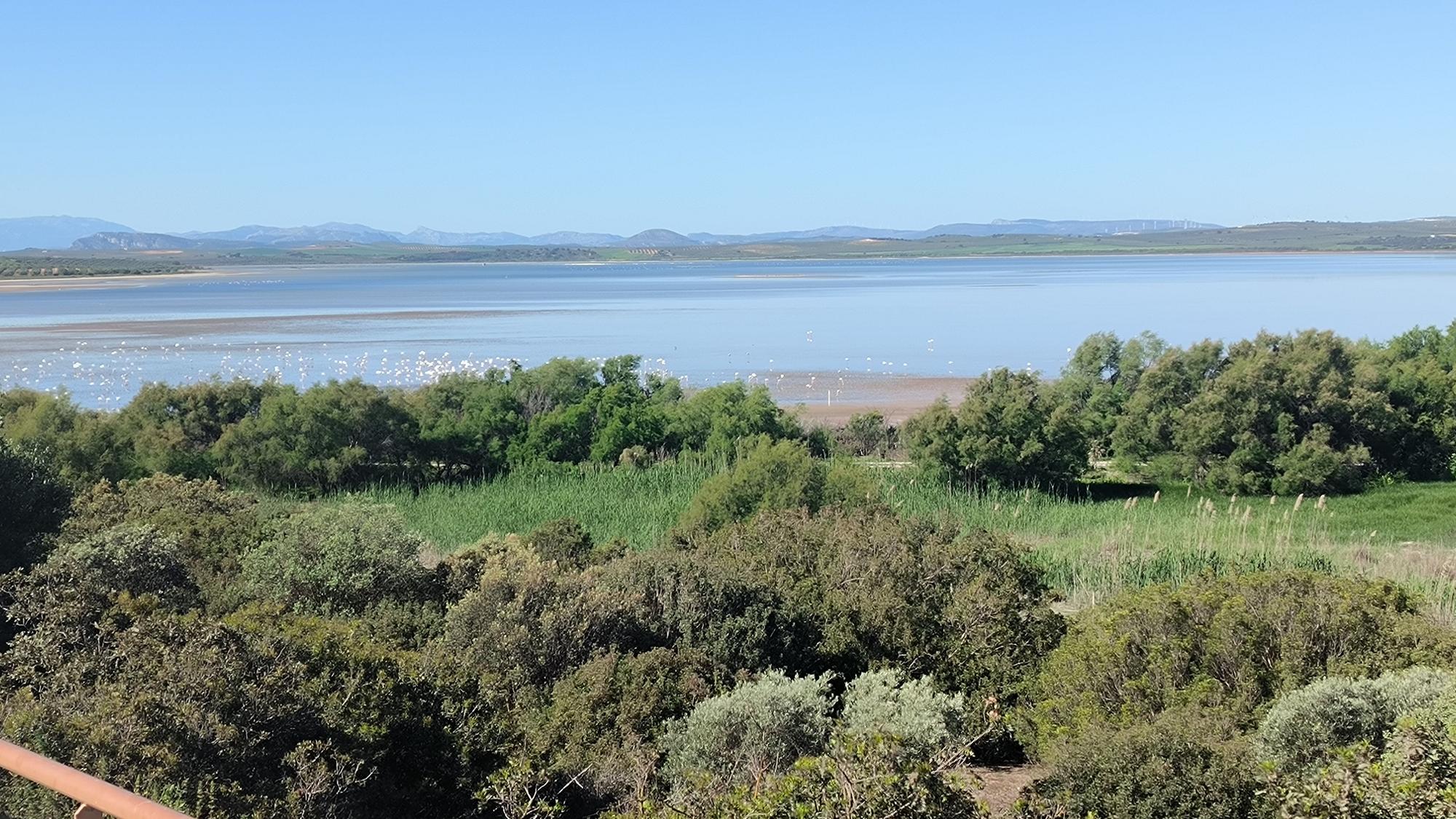 Acto de conmemoración de los 40 años de la Laguna de Fuente de Piedra como Reserva Natural.