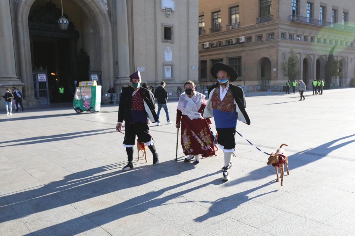 La basílica del Pilar recibe a los zaragozanos con aforo reducido y medidas de seguridad