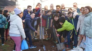Més de mig miler d’alumnes de Vila-real prenen part en una llarga Setmana de l’Arbre