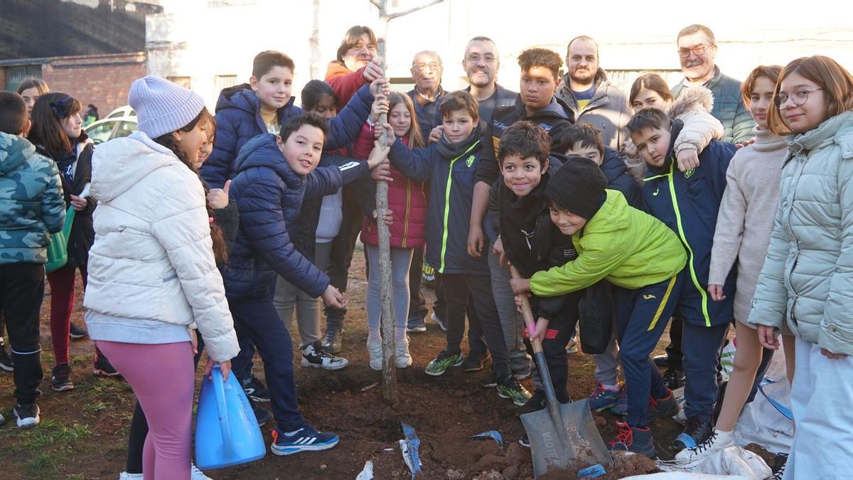 Alumnes dels col·legis Concepción Arenal i Pascual Nácher van plantar un ‘ginkgo biloba’ en la plaça de Sant Ferran.
