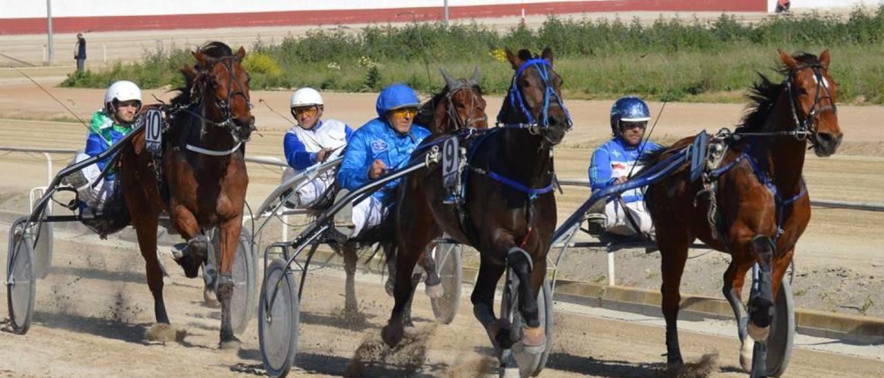 Camelot Silva (9), con Bernat Melis, en una carrera disputada en el Hipòdrom de Manacor.