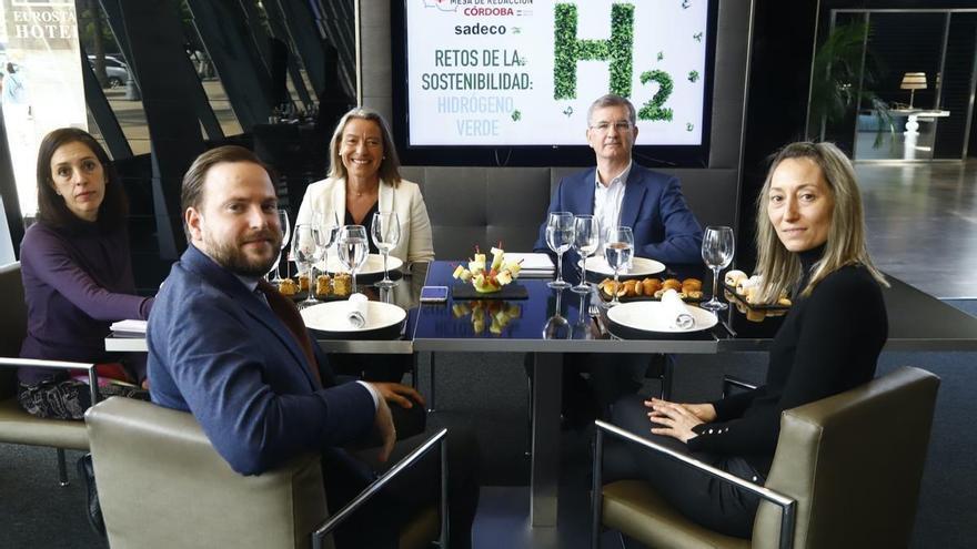 Renewable energy | Córdoba promotes three projects linked to green hydrogen