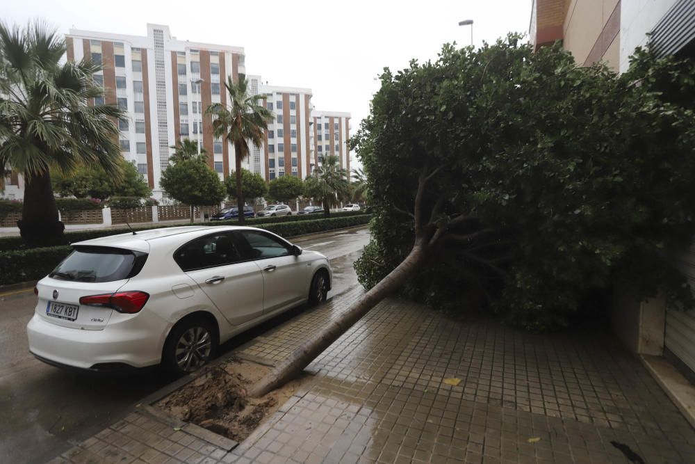 Daños en el litoral de Camp de Morvedre tras el paso del temporal Gloria