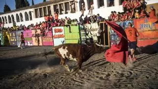 Garrovillas de Alconétar: un pueblo de Cáceres que vive para el toro
