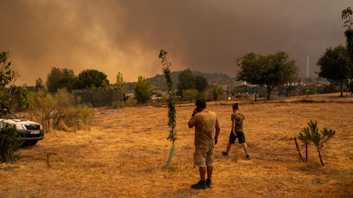 Safari Madrid recupera poco a poco la normalidad mientras mantiene la alerta y acoge animales evacuados por la proximidad del fuego.