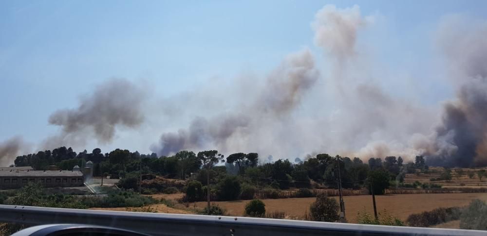 Incendi forestal a Sant Fruitós de Bages