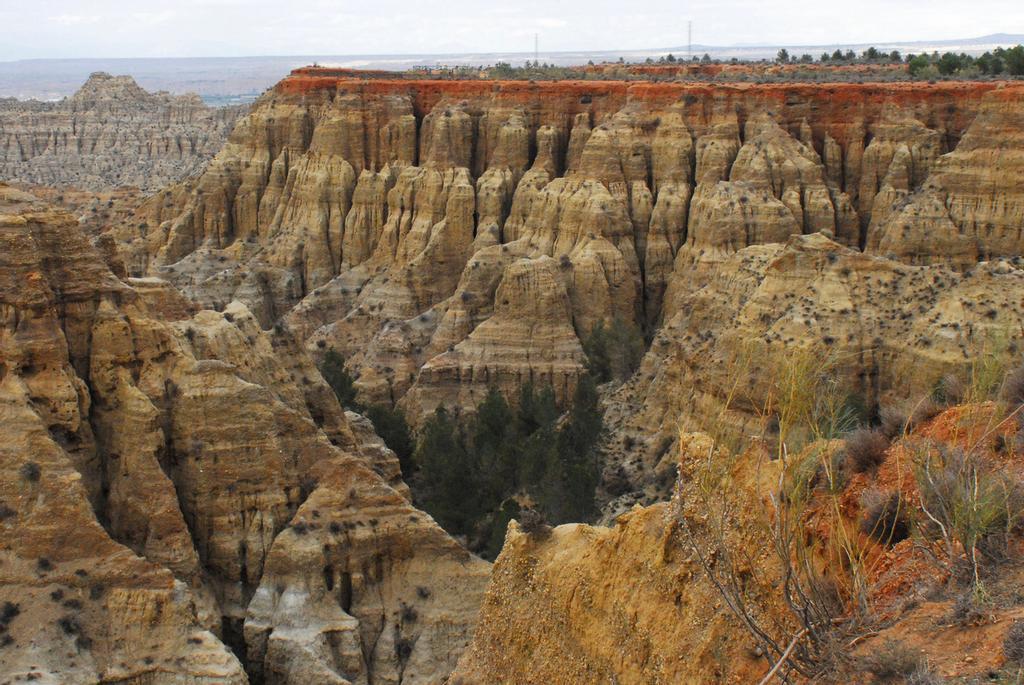 Los alrededores de Guadix podrían ser escenario de 'El rey león'.