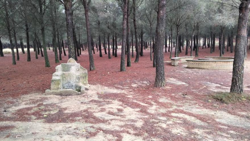 Ya se ha actuado en la Estanca del Sabinar y el Moncayuelo, entre otros. | SERVICIO ESPECIAL