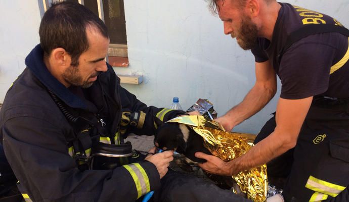 Rescatado un perro de un incendio