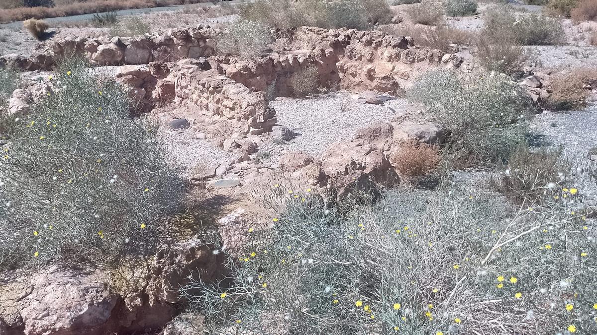Estado en que se encuentra el yacimiento argárico El Rincón de Almendricos, plagado de arbustos.